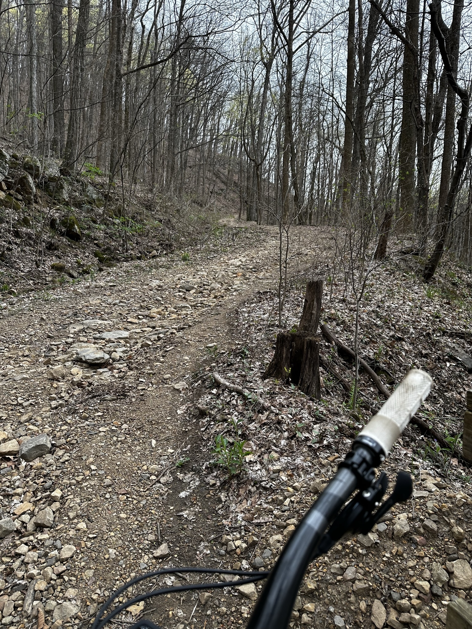 Staring up a rocking hill