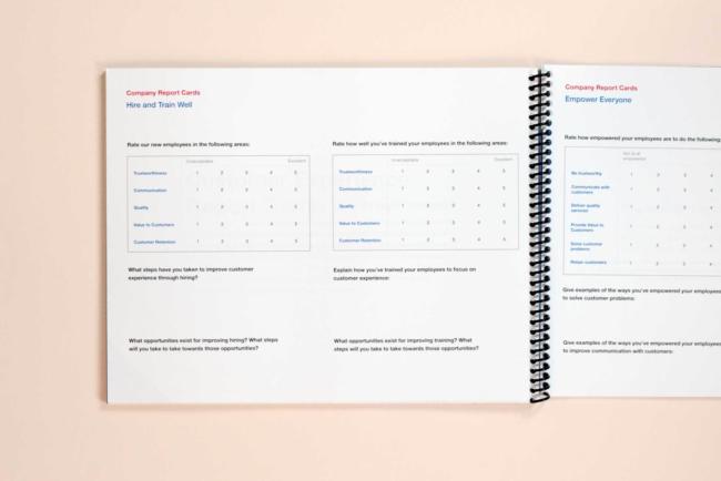 CX strategy report cards.